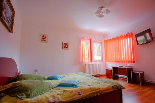 Hostal Pensiunea Sebastian
