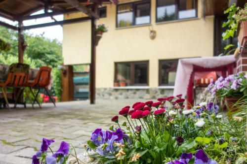 Hostal Pensiunea Sebastian