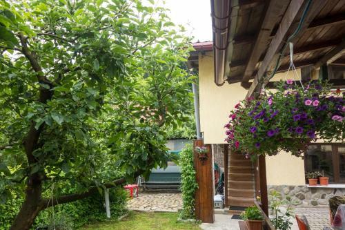 Hostal Pensiunea Sebastian
