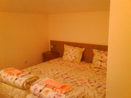 Hostal Aleks Guest House
