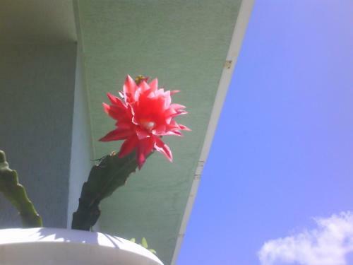 Hostal Aleks Guest House