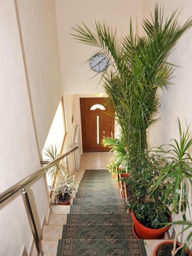 Hostal Guesthouse Elizabeth