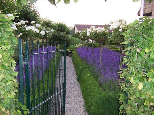 Gardenhouse Boerke Naas With Kitchen