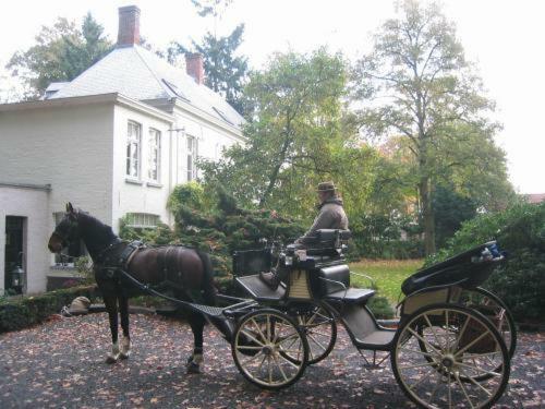 B&B 't Wit Huys Brugge