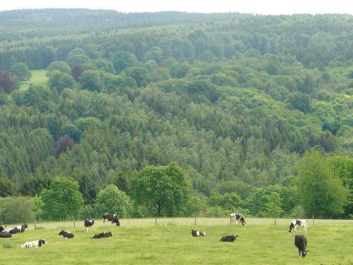 Lodge Holiday Home Aux Quatre Saisons Ferrieres