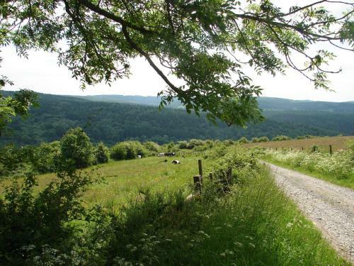 Lodge Holiday Home Tout Petit Gite Laval Ferrieres