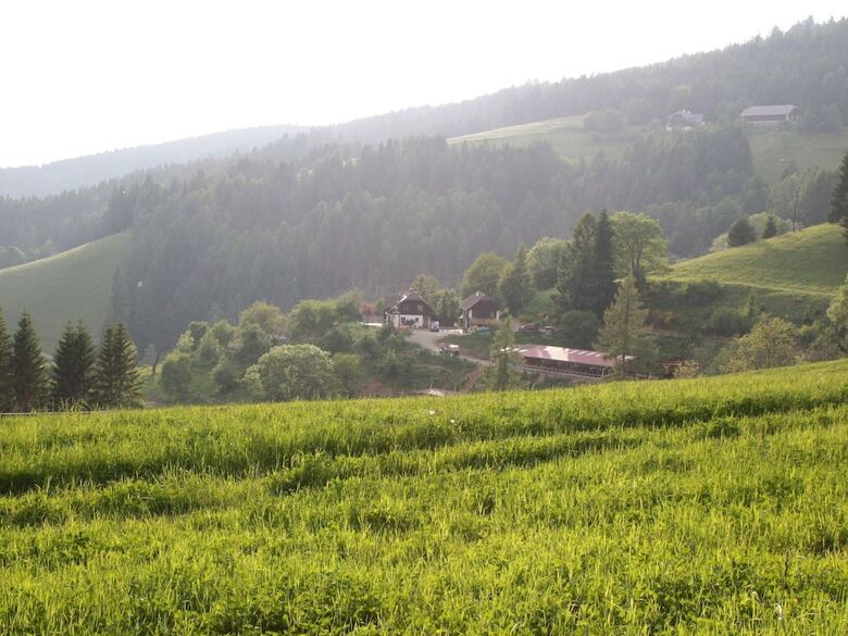 Cosy Apartment In Liebenfels With Terrace, Garden