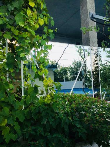 Hostal Chaika Guest House