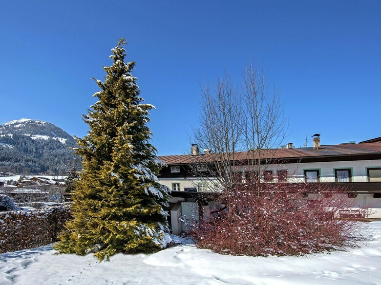 Cabana Magnificent Apartment In Tyrol With Large Terrace