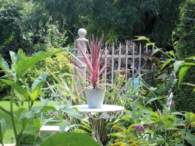 Bed & Breakfast Le Fr�ne Fringant