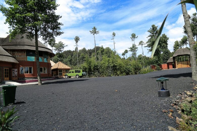 Posada Ingagi Park View Lodge
