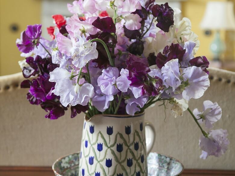 Bed & Breakfast Mornington House