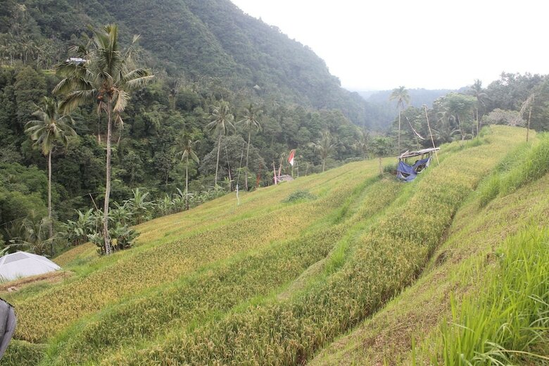 Hotel Mandhasativa Homestay