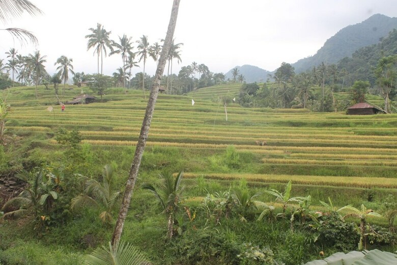 Hotel Mandhasativa Homestay