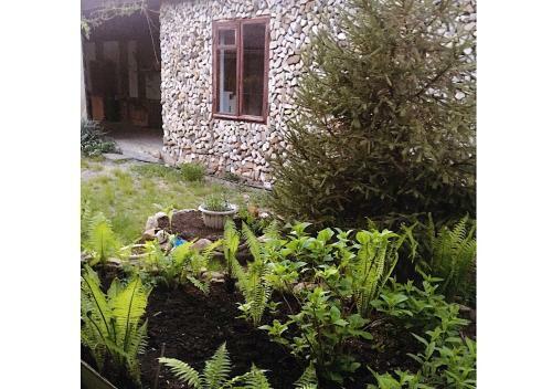 Hostal Guest House Margo