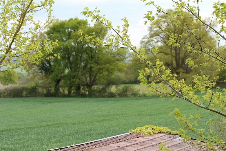 Bed & Breakfast La Bonnauderie