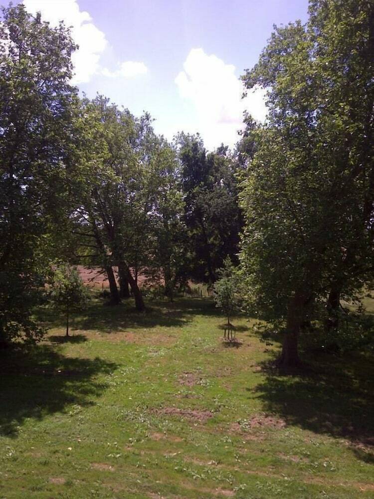 Bed & Breakfast Ch�teau de La Motte Daudier