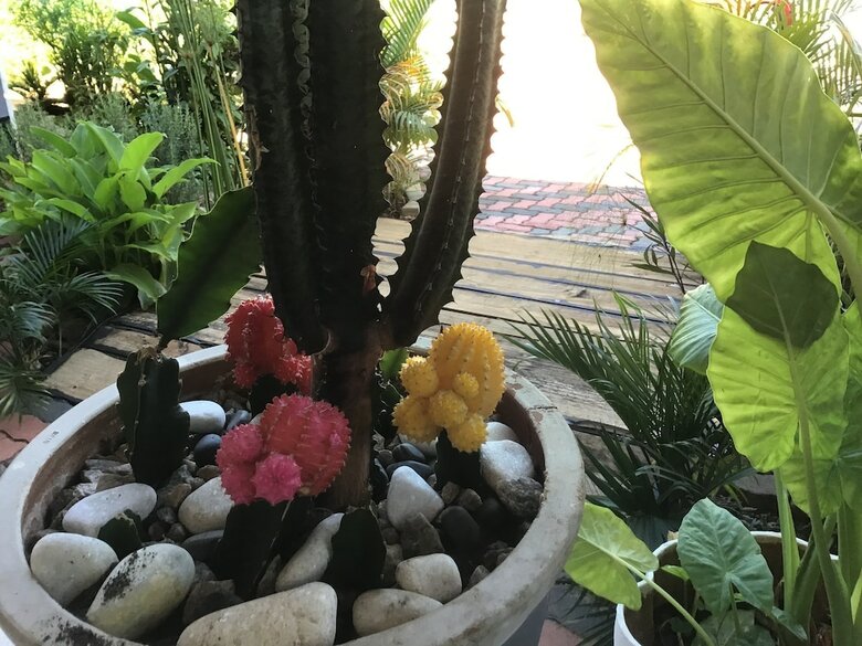 Bed & Breakfast Mt Pleasant Bnb