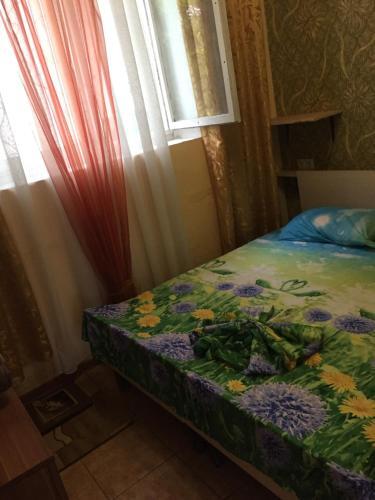 Hostal ???????? ??? ???????? 11?
