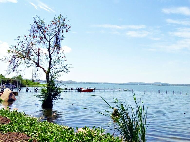 Apartamento Rocky Bay Resort & Camping