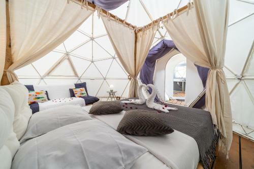 Bubble D�me Village Petite Ile