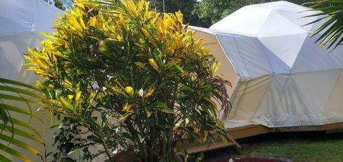 Bubble D�me Village Petite Ile