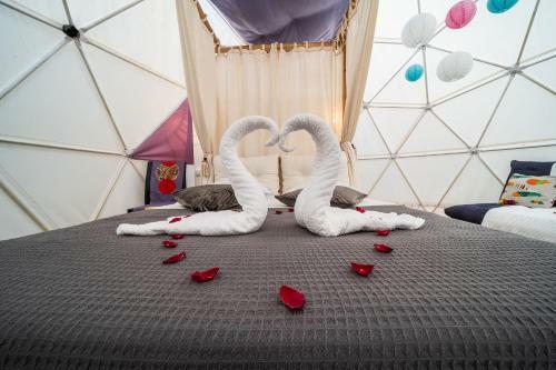 Bubble D�me Village Petite Ile