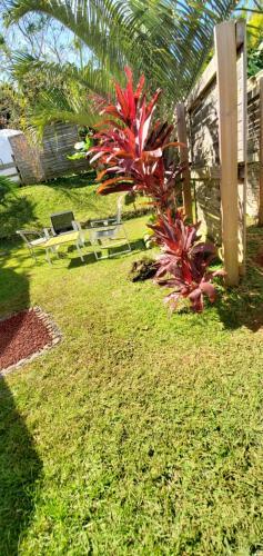 Bubble D�me Village Petite Ile