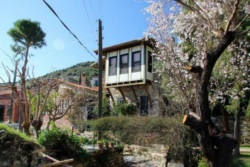 Eski Doganbey Houses