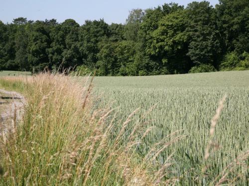 Holiday Home Le Refuge Bomal