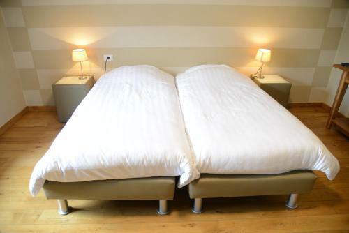 Hotel Race & Rooms