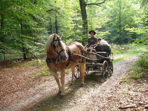 B&B La Haute Voie
