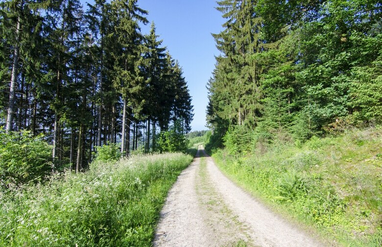 Ferienhof Verse