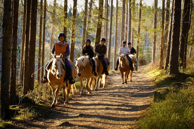 Bjorsbo Forest & Lake Hideaways