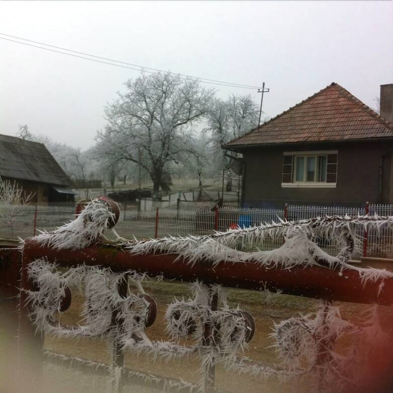 Lodge Badesti Farm House