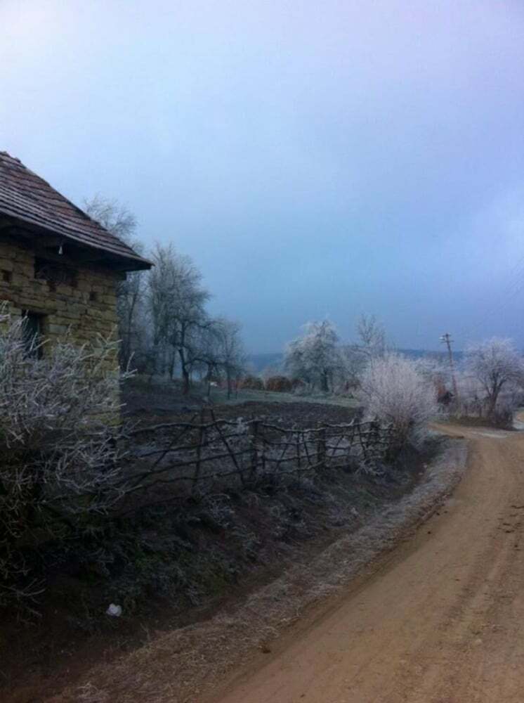 Lodge Badesti Farm House