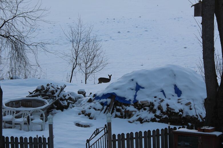 Bed & Breakfast Gamla Aff�ren