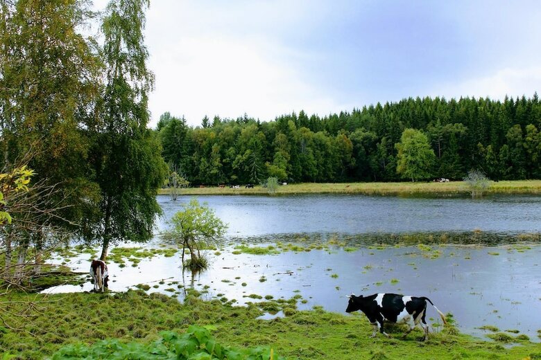 Bed & Breakfast Gamla Aff�ren