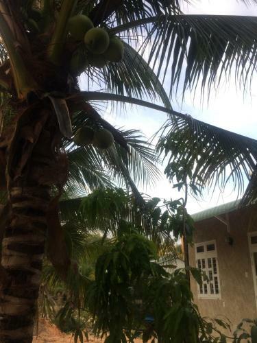 Bed & Breakfast Lam Long Luan Homestay