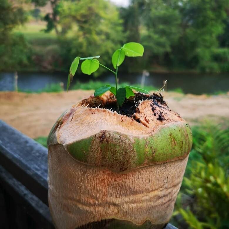 Hotel Vela Sustainable Living