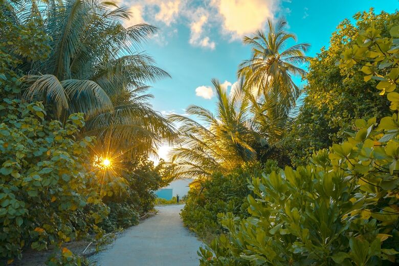Hotel Rahaa Resort