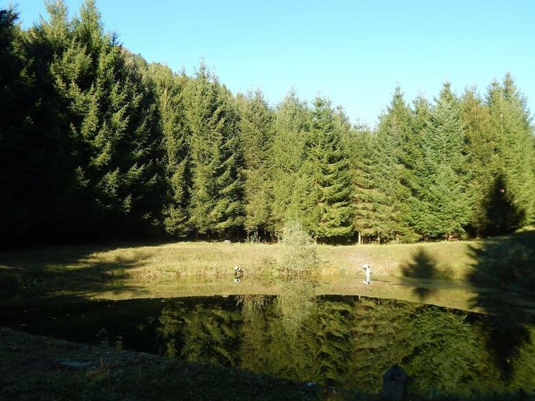 Chalet Les Perrigueys