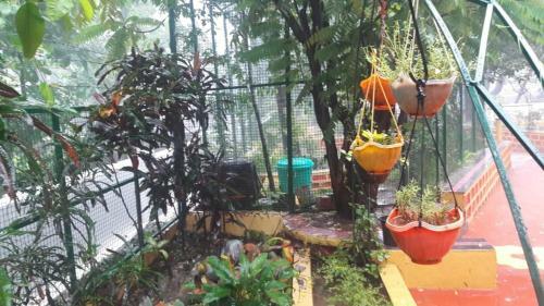 Maria?s House Bed & Breakfast Shiroda