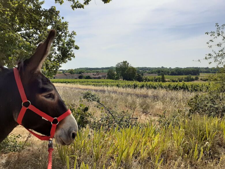 Bed & Breakfast Un Chemin En Quercy