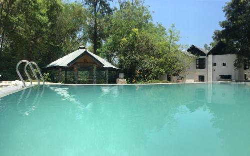 The Mirage