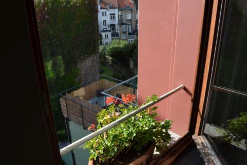 Hostal Villa Des Roses Voltaire