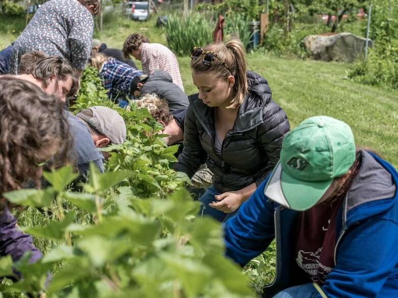 Agroturismo Nettles Farm