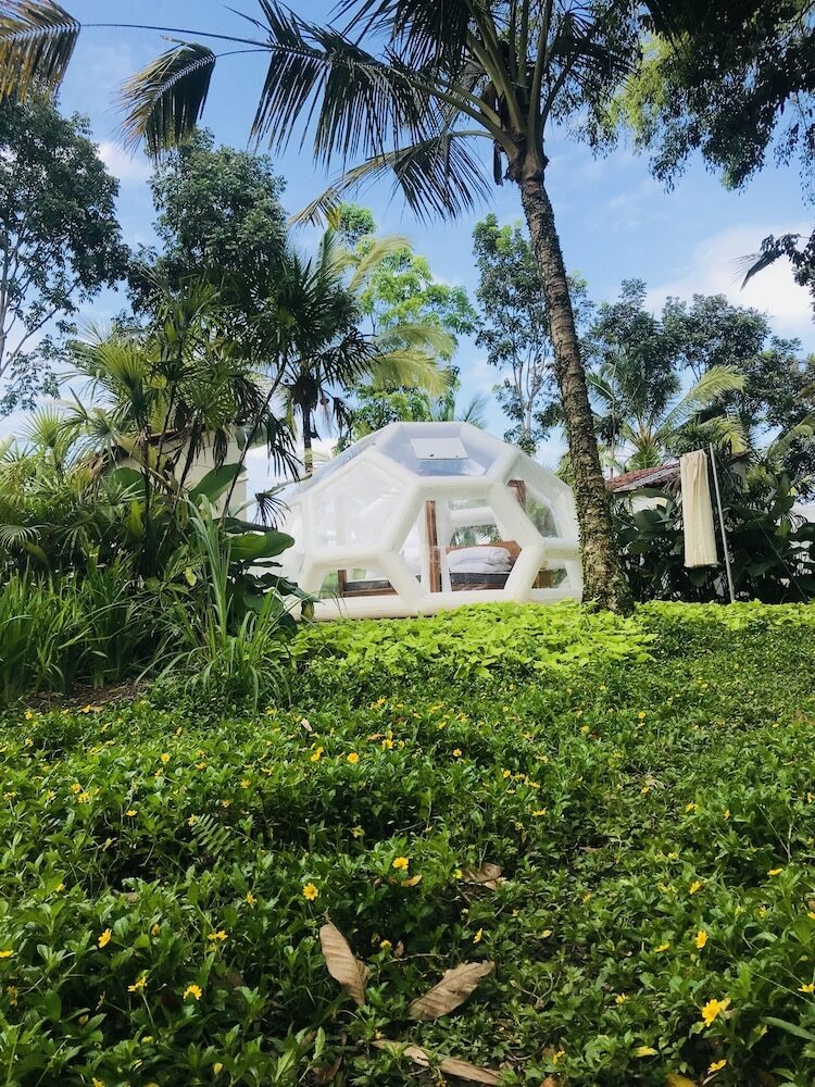 Jungle Bubble Lodge Ubud - Campsite