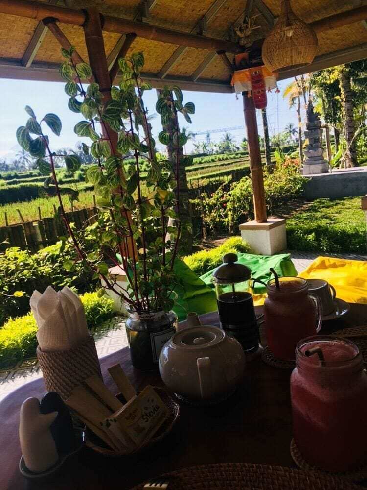 Jungle Bubble Lodge Ubud - Campsite