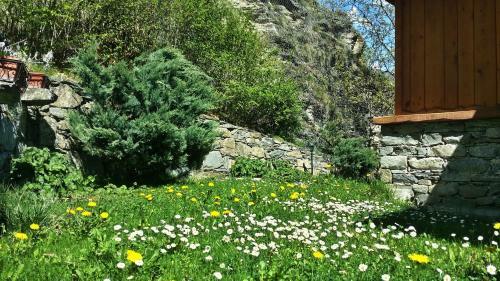 Apartamento Il Rifugio Della Volpe